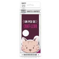 Coffret cocooning chat chaussette et chaufferette 36/42 – Chausse