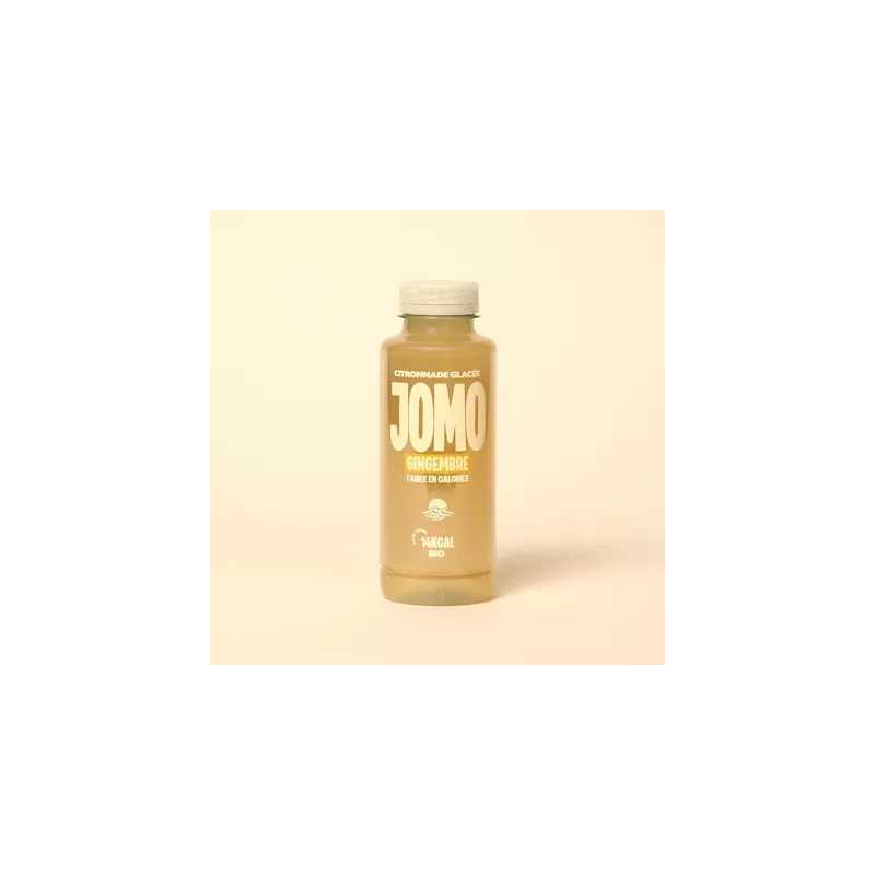 Citronnade Glacée - Gingembre - 350ml – Thé glacé bio