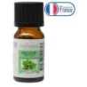 Huile Essentielle – Menthe Arvensis - 10 ml – Diffusion
